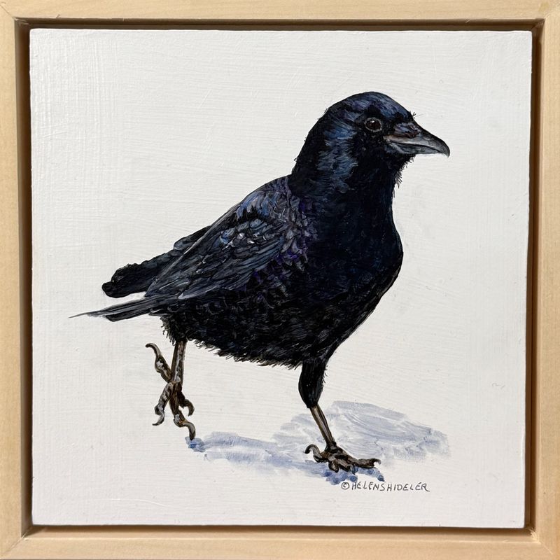 Helen Shideler Artist Painter Handworks Gallery Saint John New Brunswick NB Acrylic Painting Crow Raven Bird Animal Nature