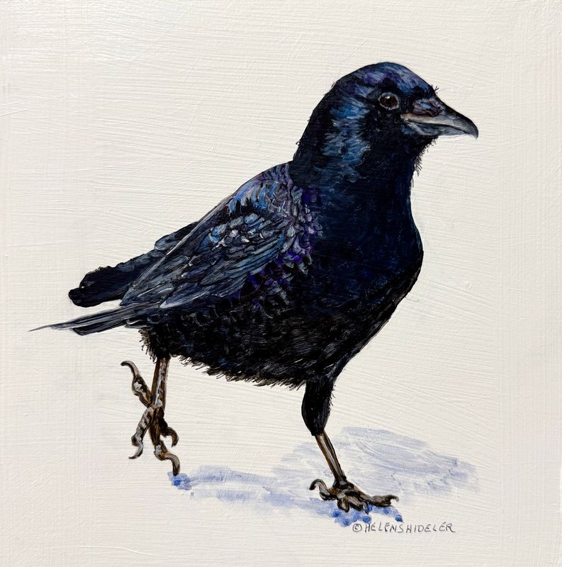 Helen Shideler Artist Painter Handworks Gallery Saint John New Brunswick NB Acrylic Painting Crow Raven Bird Animal Nature