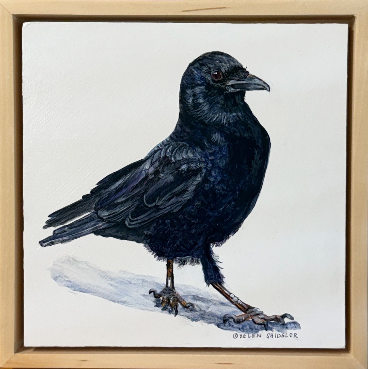 Helen Shideler Artist Painter Handworks Gallery Saint John New Brunswick NB Acrylic Painting Crow Raven Bird Animal Nature