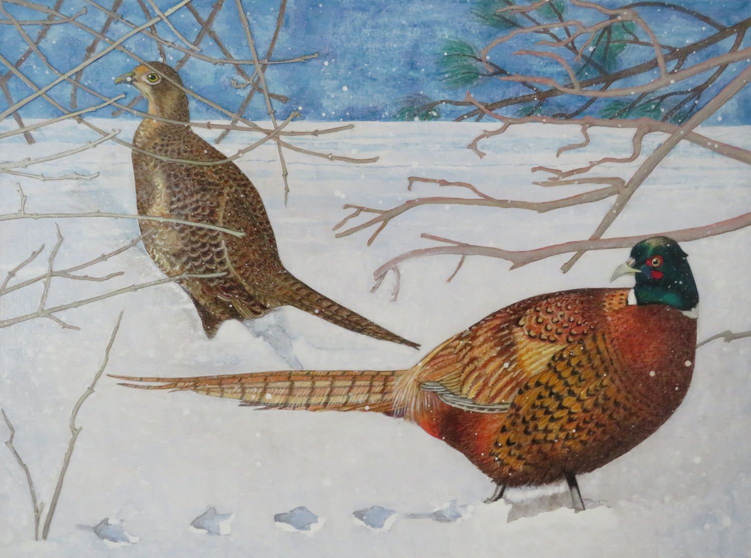Donna Rawlins Sharpe Artist Painter Handworks Gallery Saint John New Brunswick NB Mixed Media Winter Pheasants Birds Nature