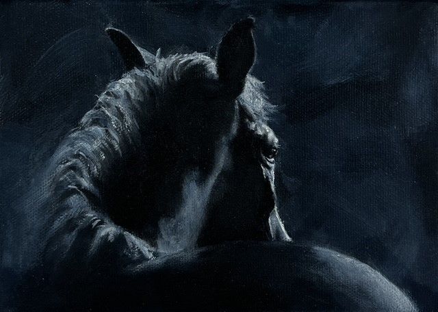 Robyn Kern Artist Painter Handworks Gallery Saint John New Brunswick NB Oil Painting Horse on Black Background