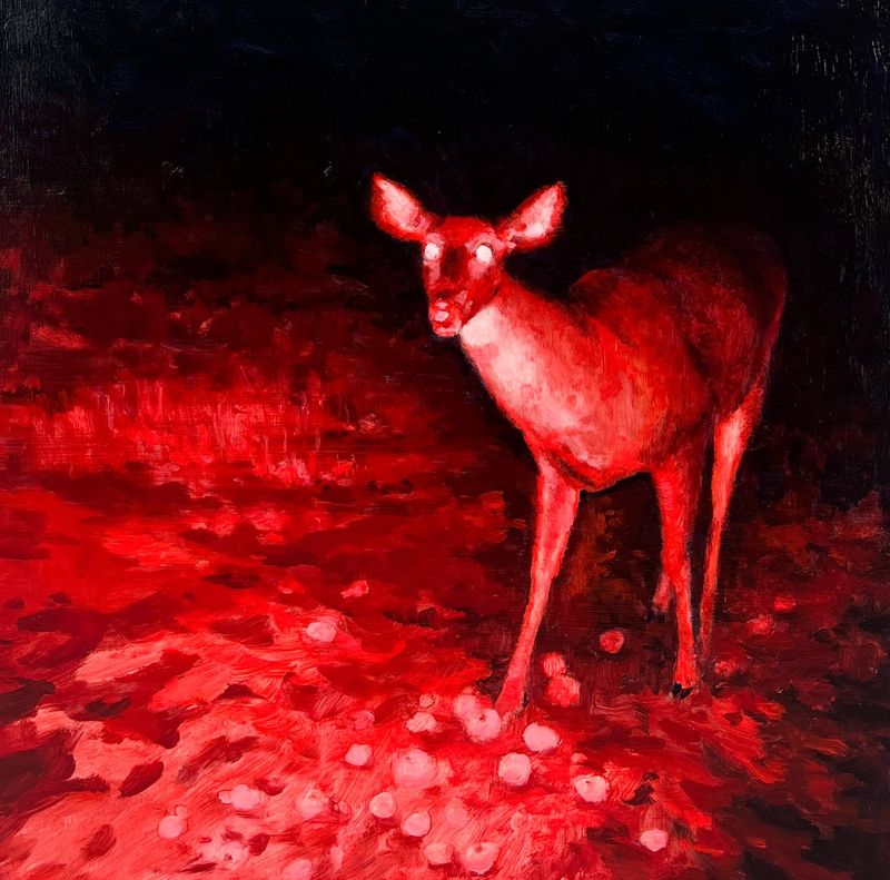Theresa MacKnight Artist Painter Handworks Gallery Saint John NB Oil Painting Deer Night Buck Wildlife Animal Nature Red