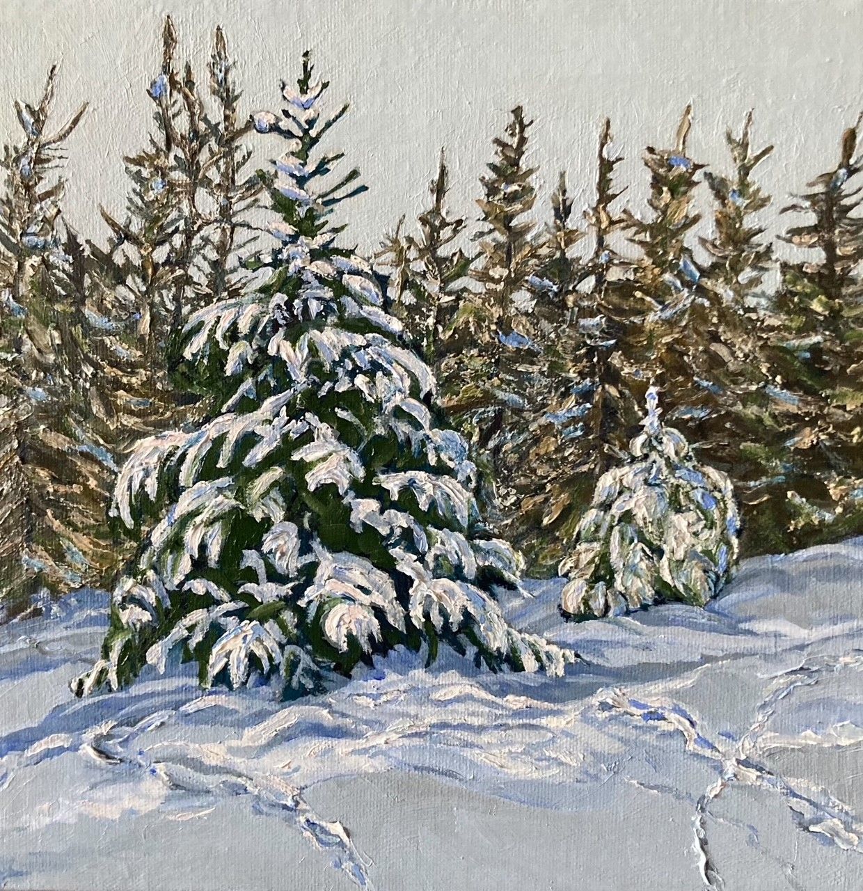 Lynn Wigginton Artist Painter Handworks Gallery Saint John New Brunswick Acrylic Oil Painting Forest Winter Snow Woods Trees