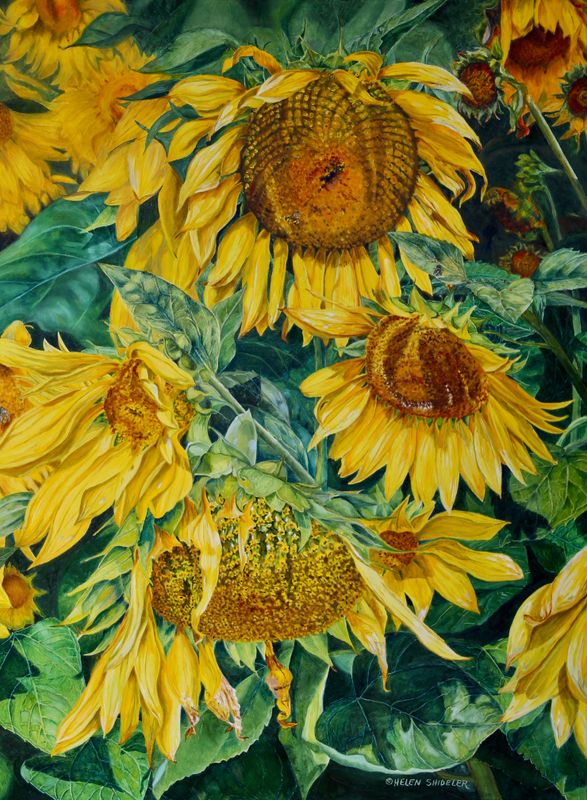 "September Sun" 40x30" Oil on Canvas Framed