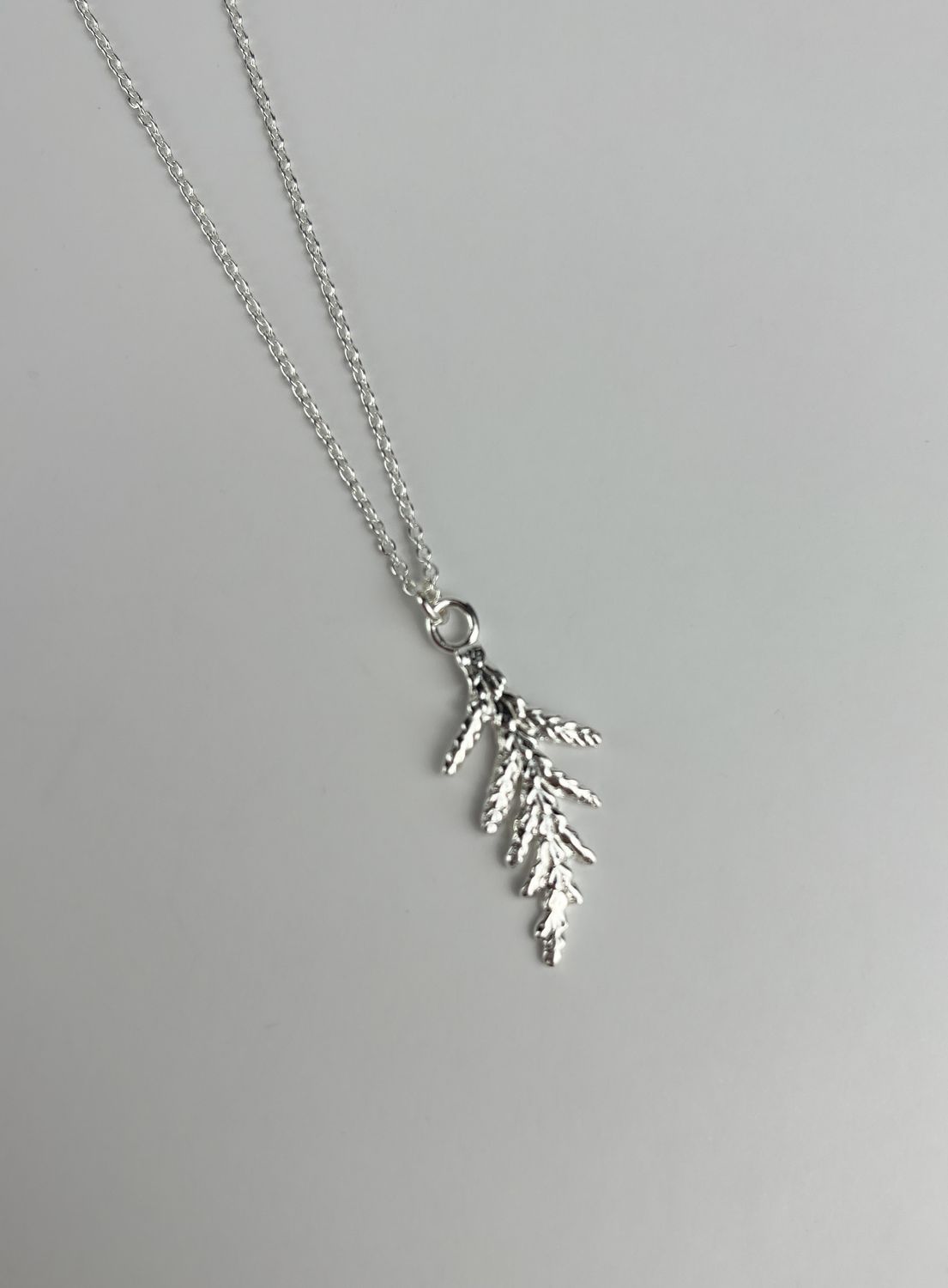 Cedar Branch Collection