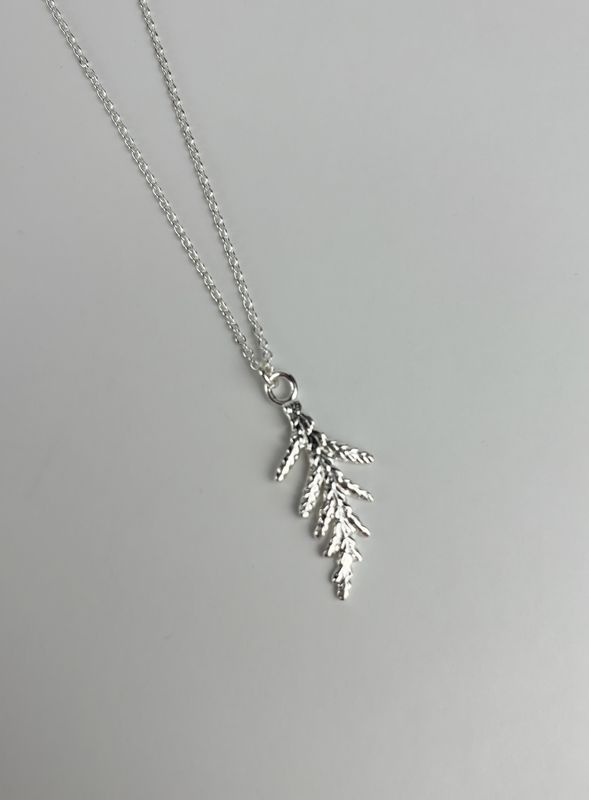 Cedar Branch Collection