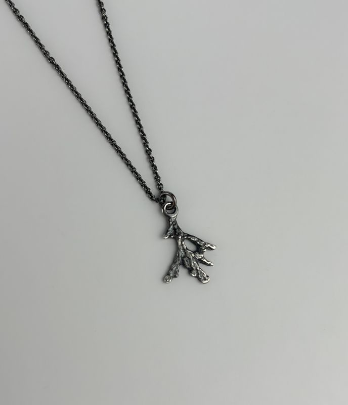 Cedar Branch Collection