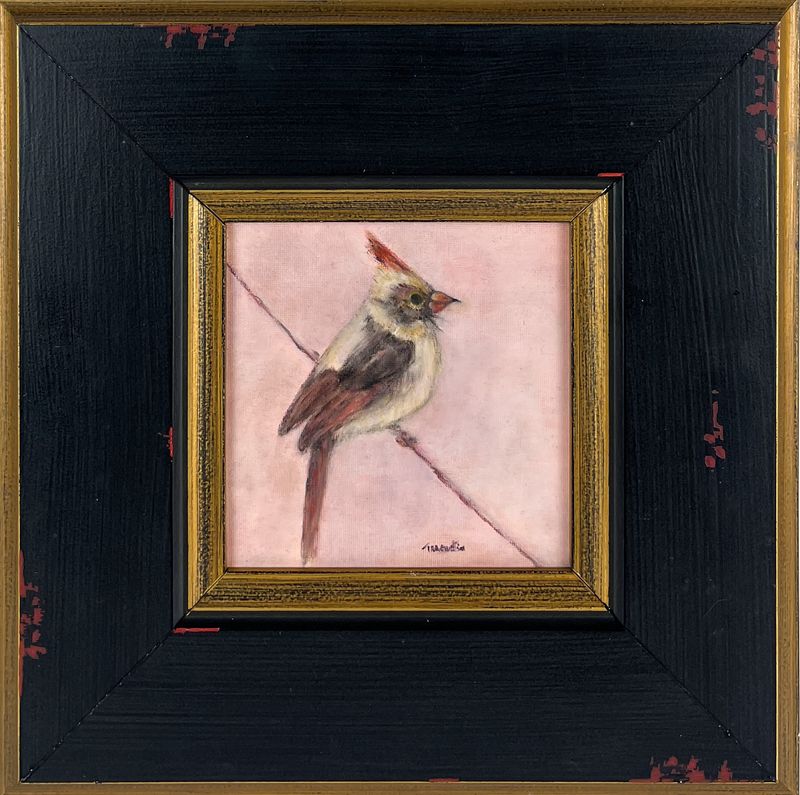 "Cardinal" 6x6" Oil on Canvas board Framed 12.5x12.5" Painting