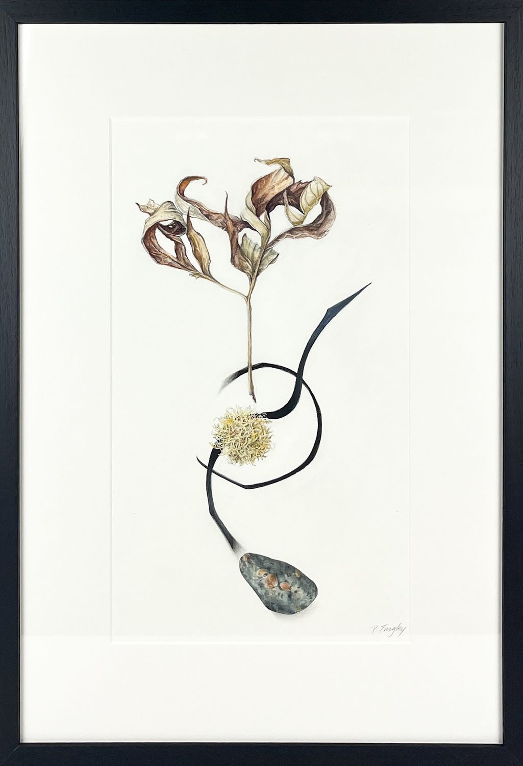"Circumspect" 9x16" Watercolour Framed 16.25 x 23.25"