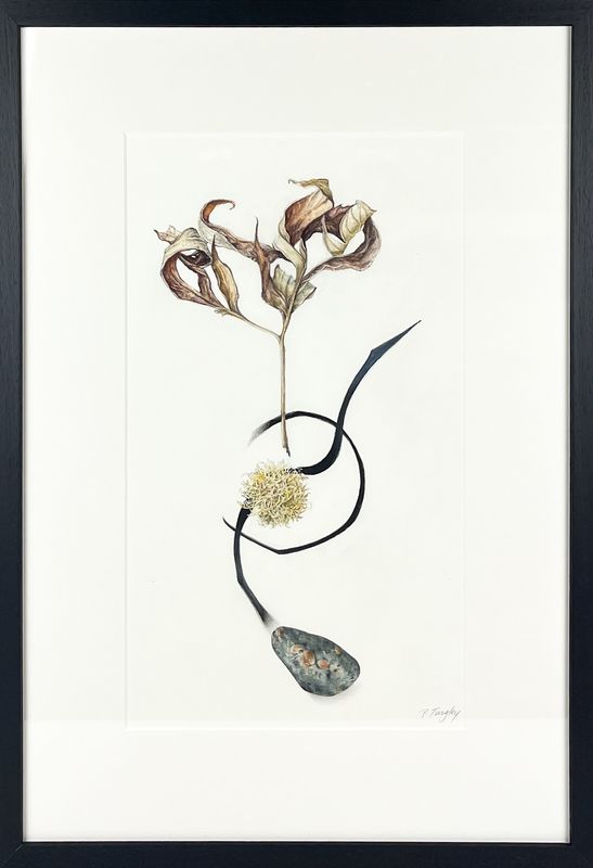 "Circumspect" 9x16" Watercolour Framed 16.25 x 23.25"