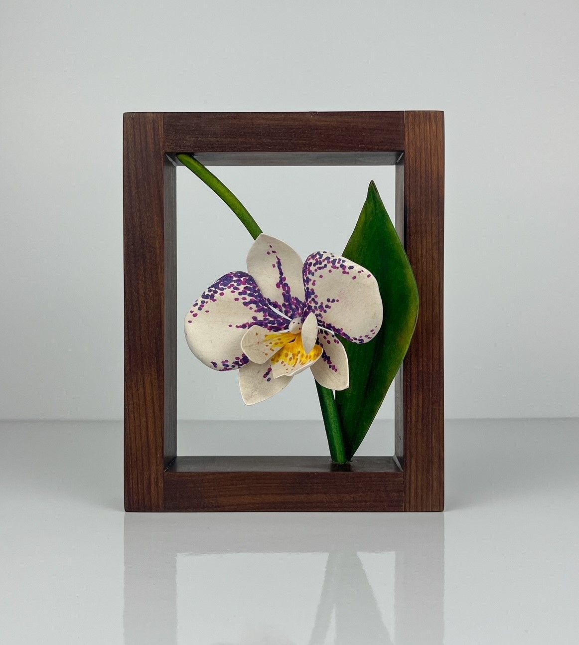 Wildflower Collection: Moth Orchid Flower Wood Sculpture in Roasted Maple Frame 6x7.25"