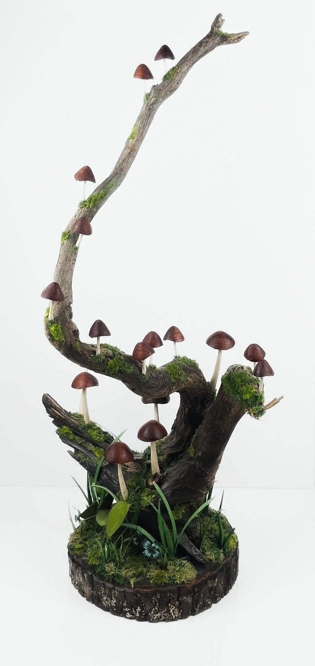 Mushroom Tree Large Padauk Wood Sculpture 28x15x15"