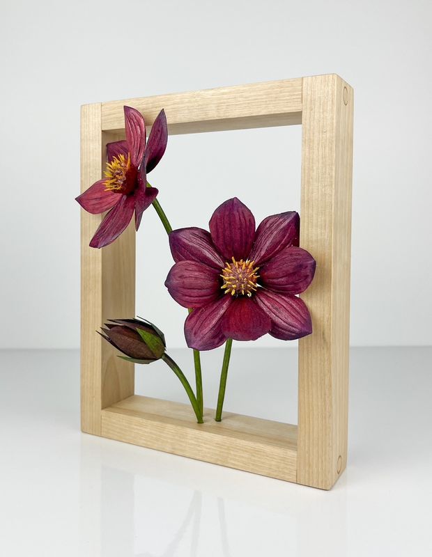 Wildflower Collection: Dahlia Juliet Flower Wood Sculpture Framed 7x9"