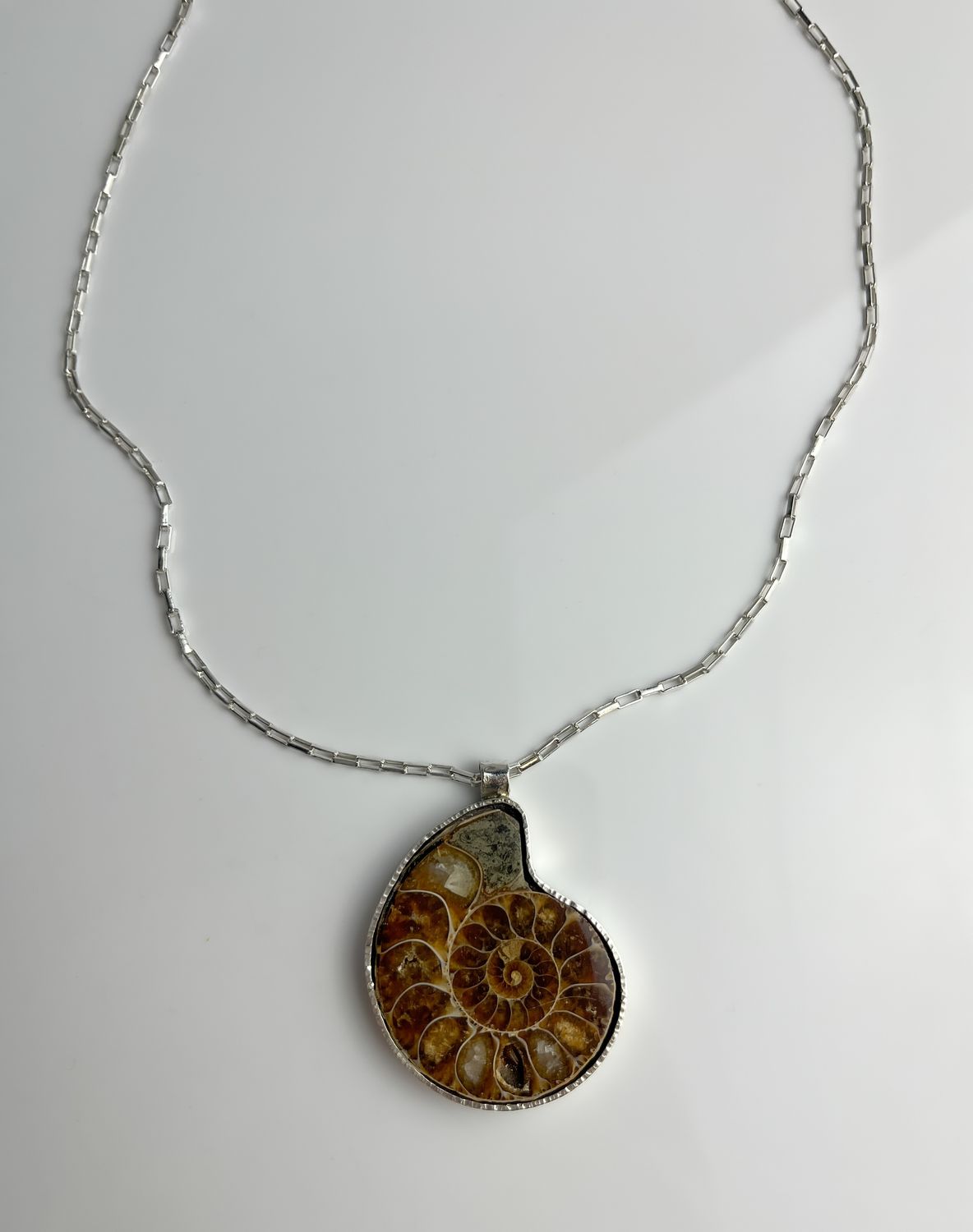 Ammonite Collection, Sterling Silver