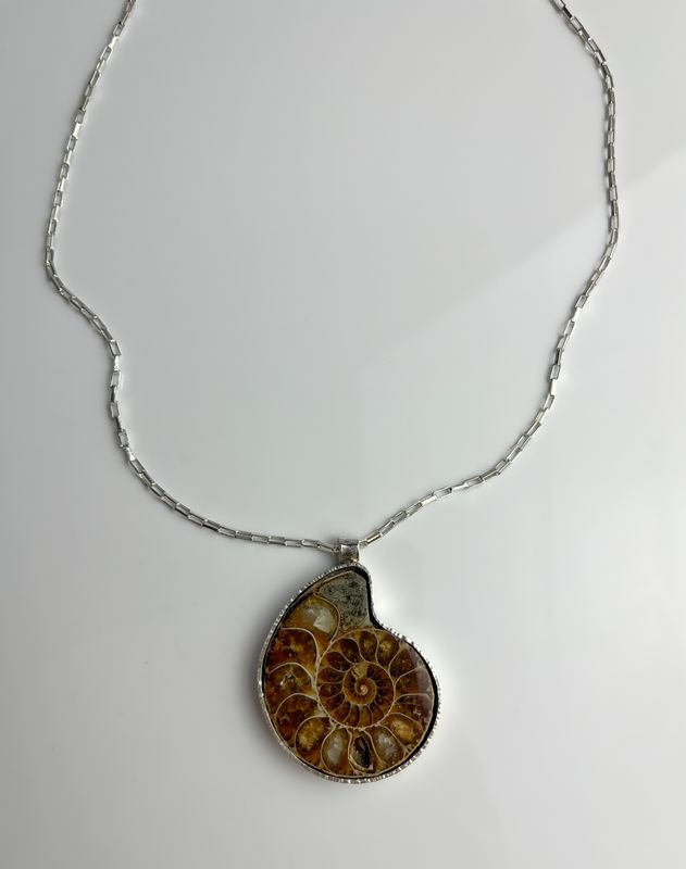 Ammonite Collection, Sterling Silver