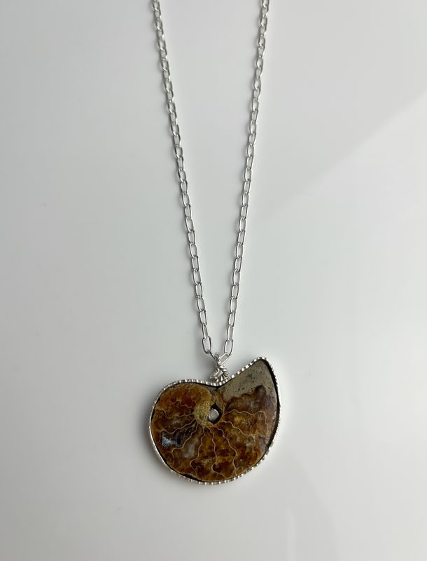 Ammonite Collection, Sterling Silver