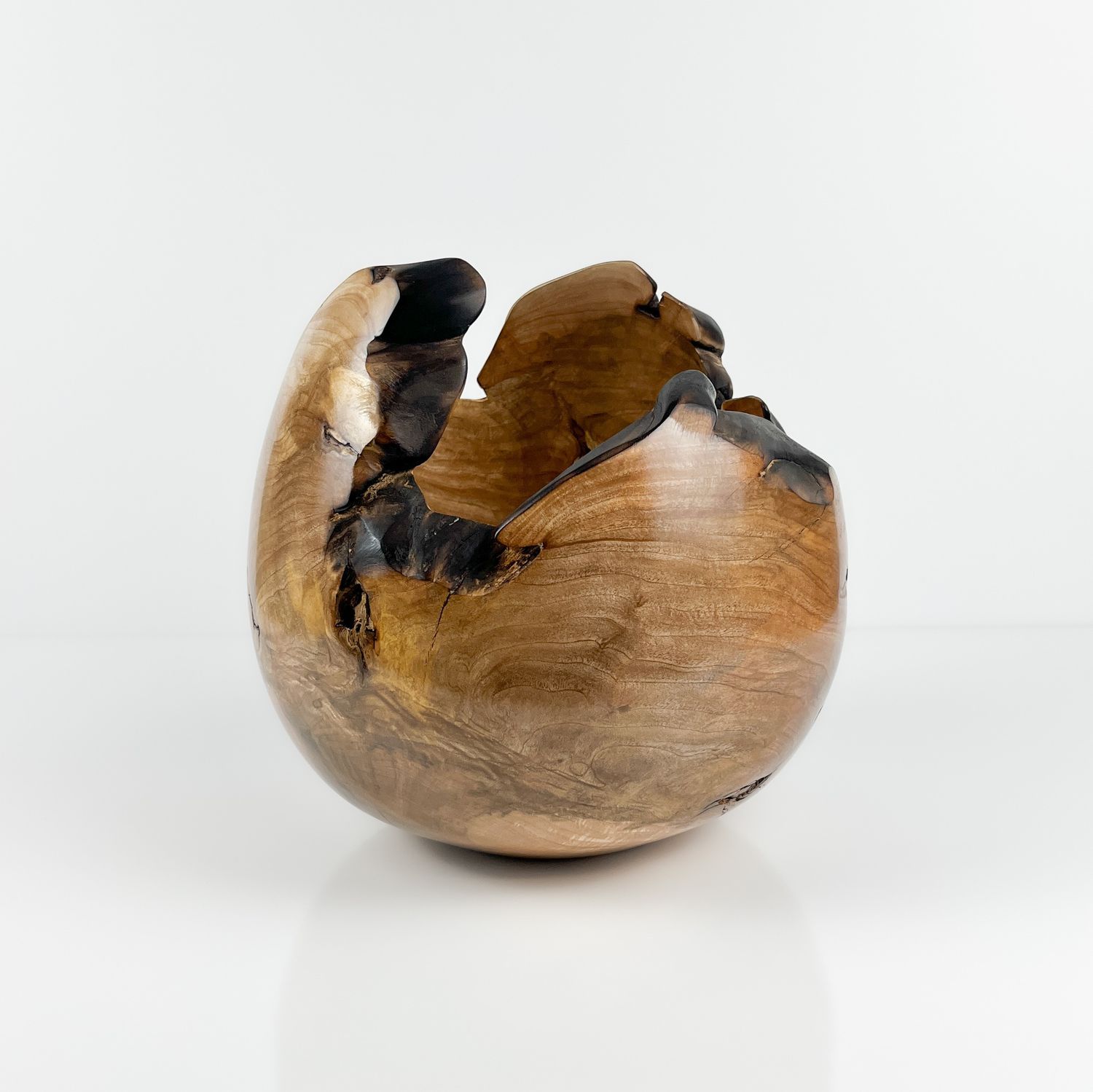 Maple Nurl Bowl #343