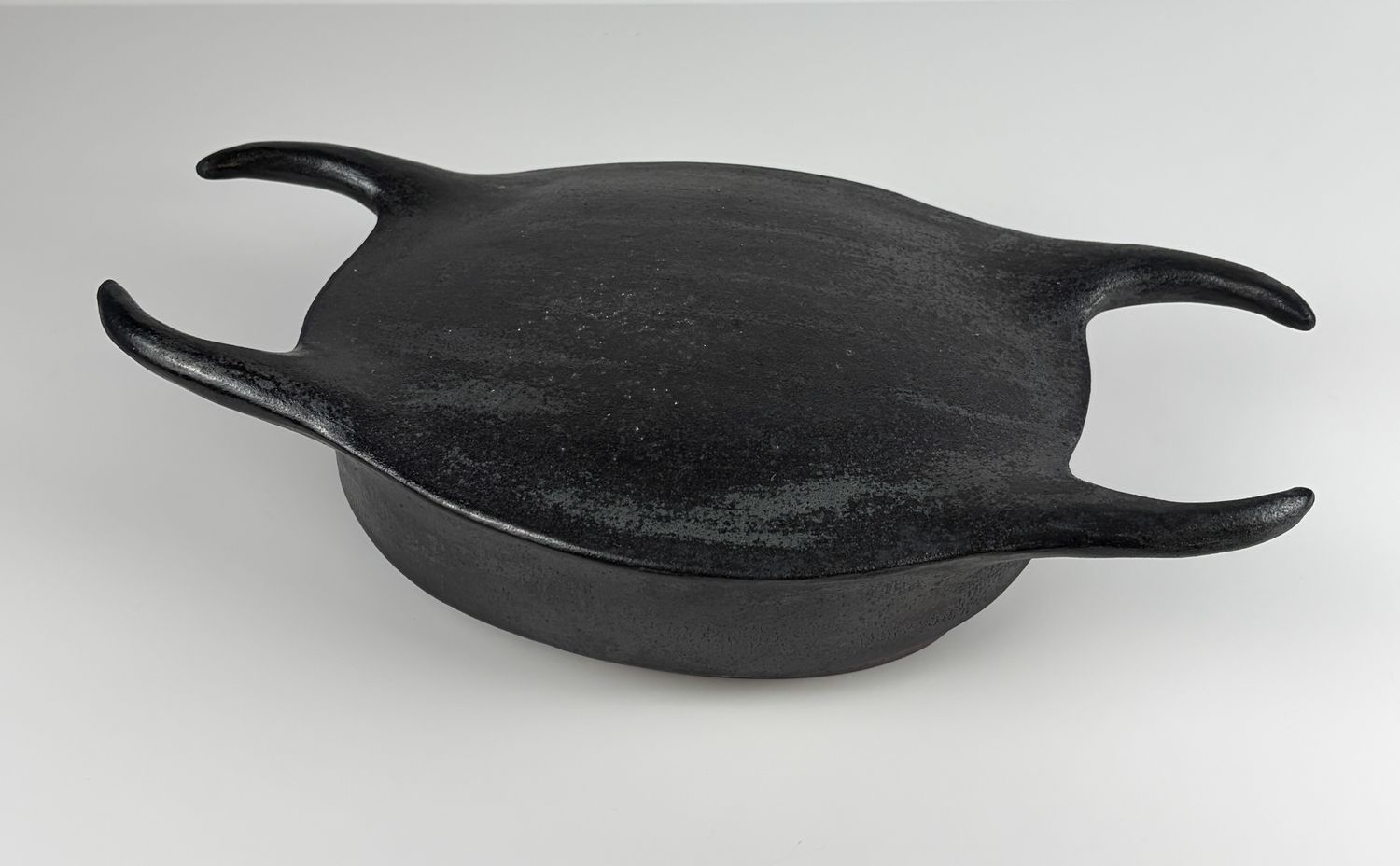 Skate Egg Case, Wood Fired 13x7"