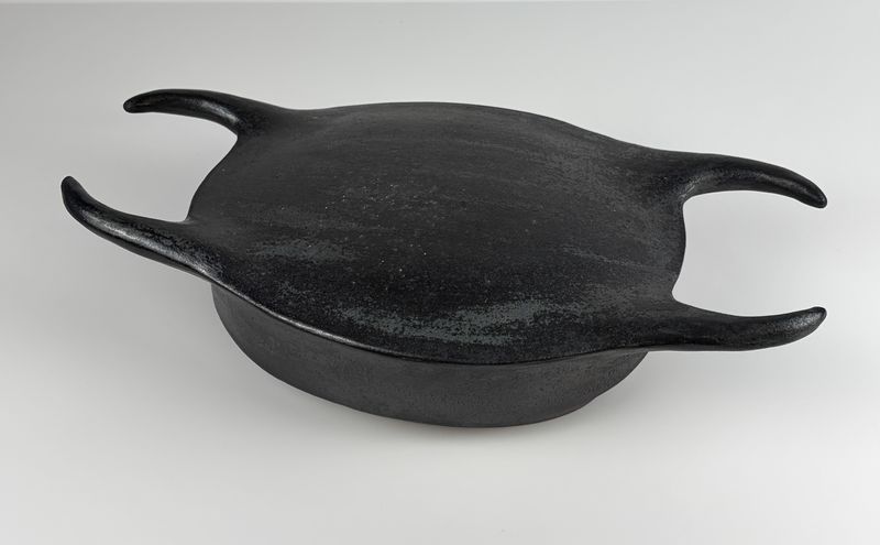 Skate Egg Case, Wood Fired 13x7"