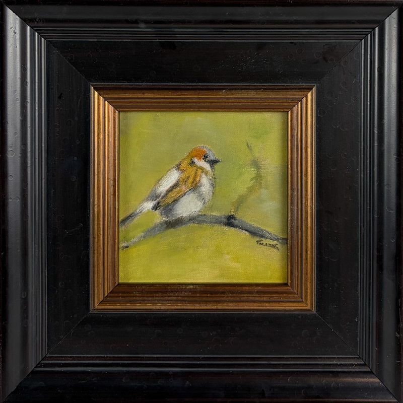 "House Sparrow" 6x6" Framed 12.75x12.75" Oil