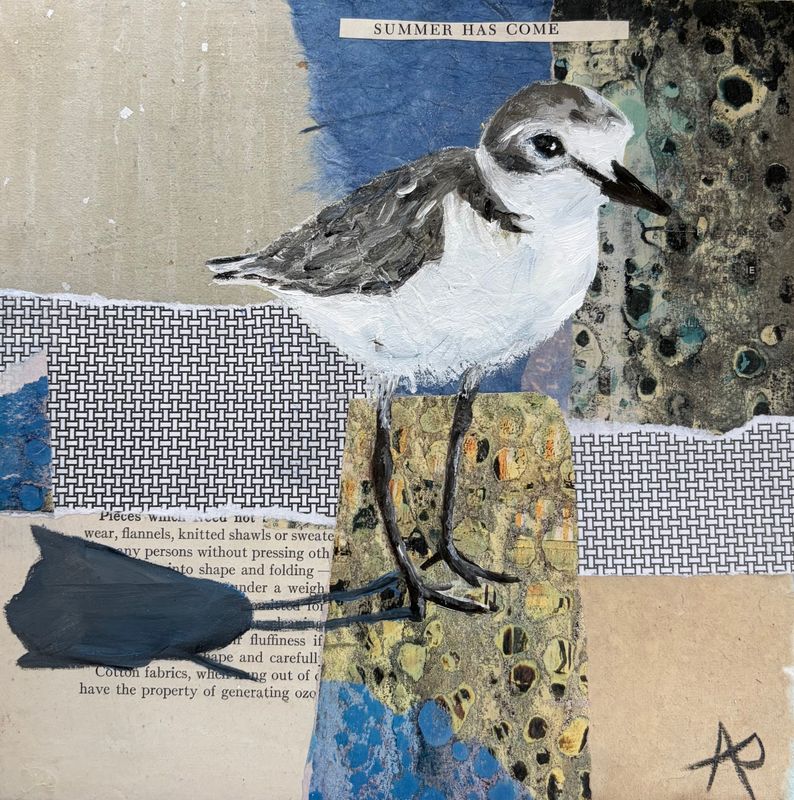 "Shorebird Blues: Summer 1" 8x8" Oil &amp; Mixed Media Framed 9x9"