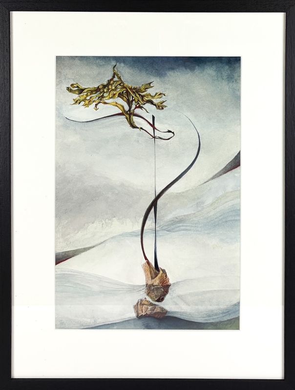 "Grey" Watercolor 10.5x15.5" Framed 17.25x22.75"