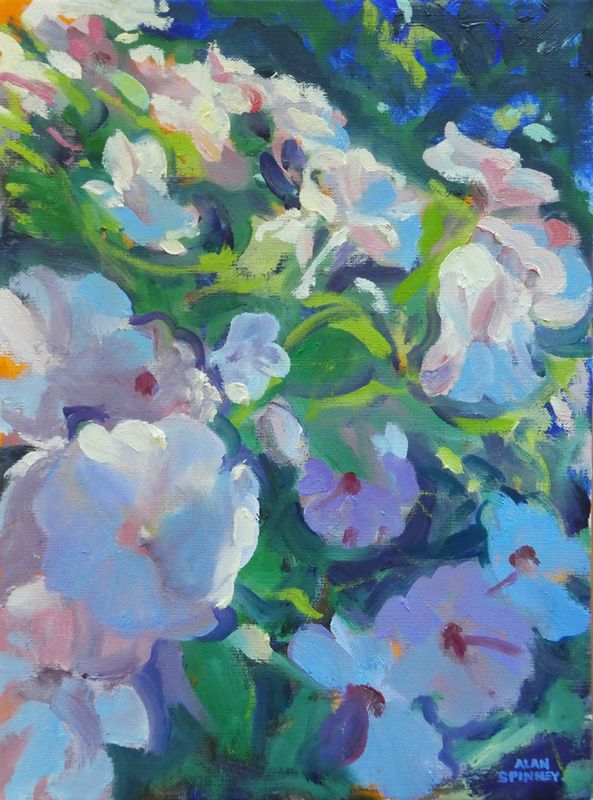 "Cascading Blossoms" Oil on Gallery Canvas 12x9"