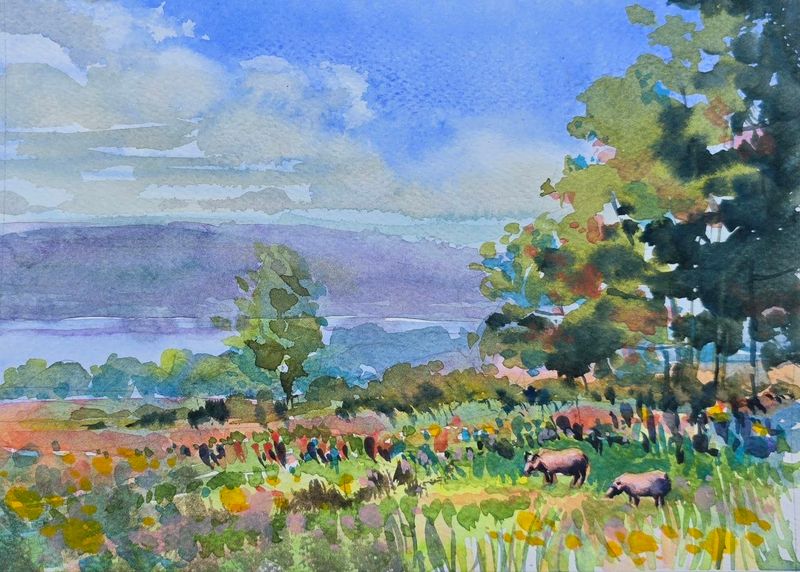 "Summer Morning at Cambridge Narrows" Watercolor 8x10" matted 11x14"