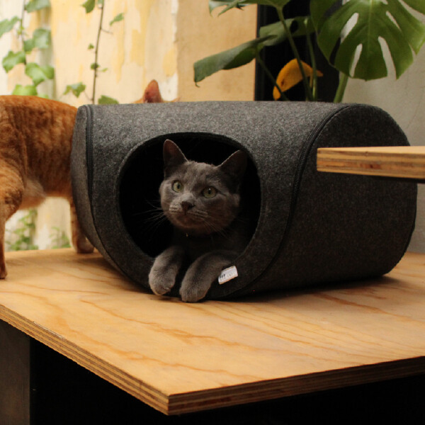 Refugio plegable Furry Fieltro