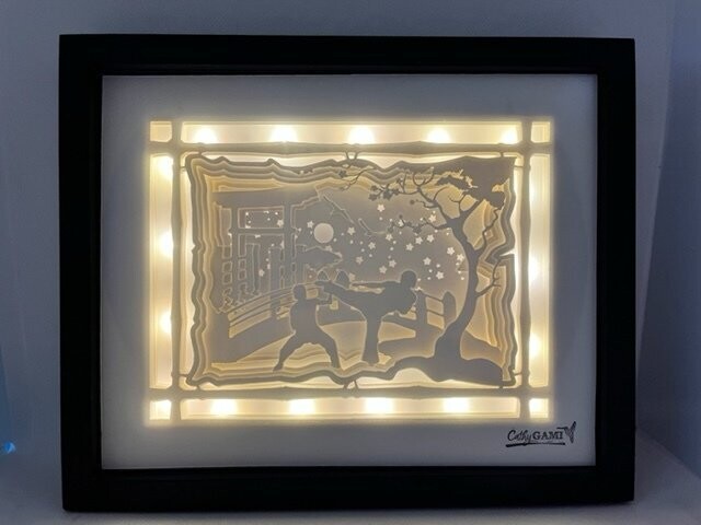 Lightbox karaté 2