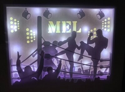 Lightbox Kick boxing