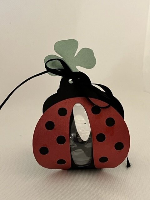 Boîte Coccinelle (pour intégrer une boule en plexigas)