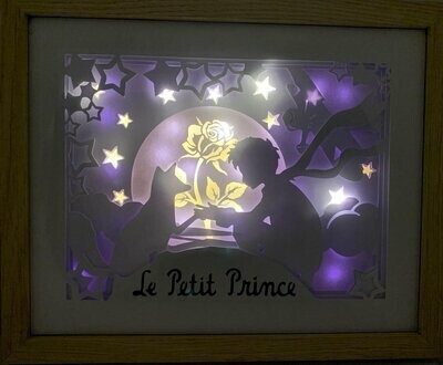 Lightbox Petit Prince