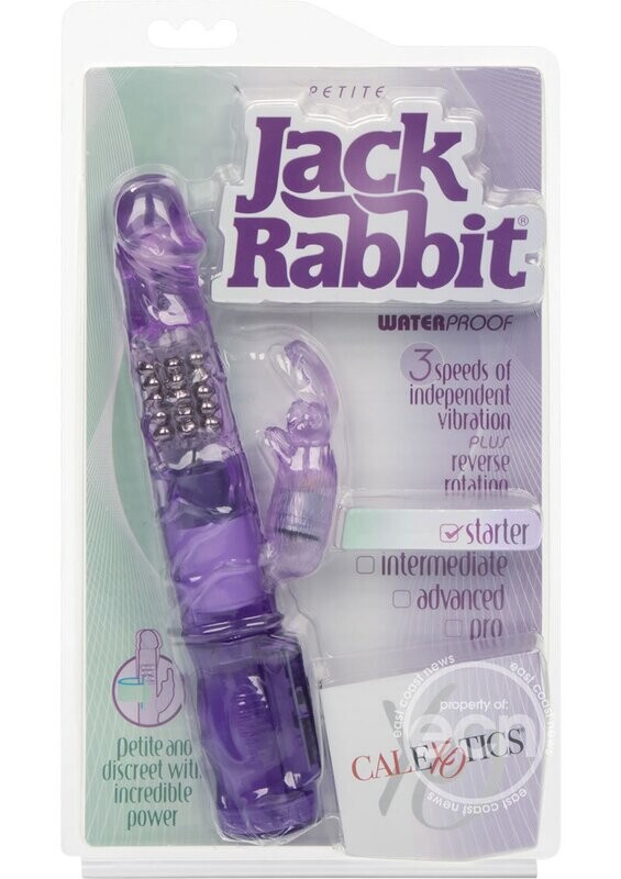 Petite Jack Rabbit PUR