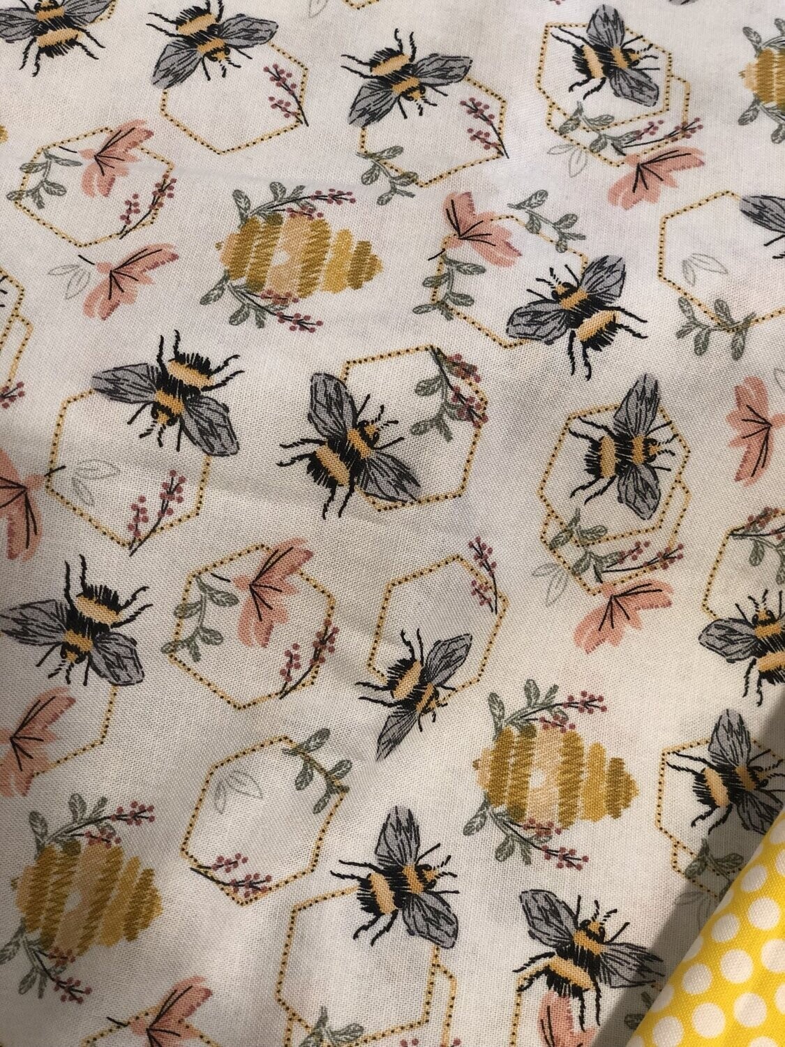 Honey Bee Hive