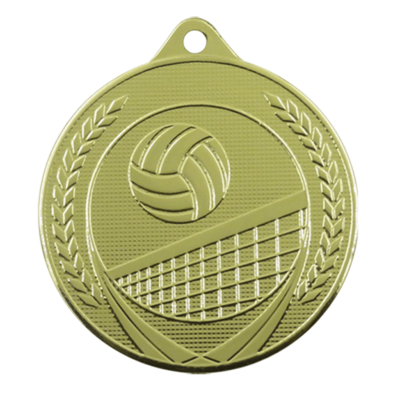 Medaille Volleybal