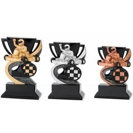 Resin Karting