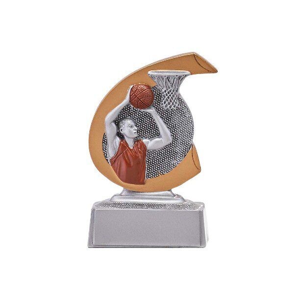 Basketbal C650.21
