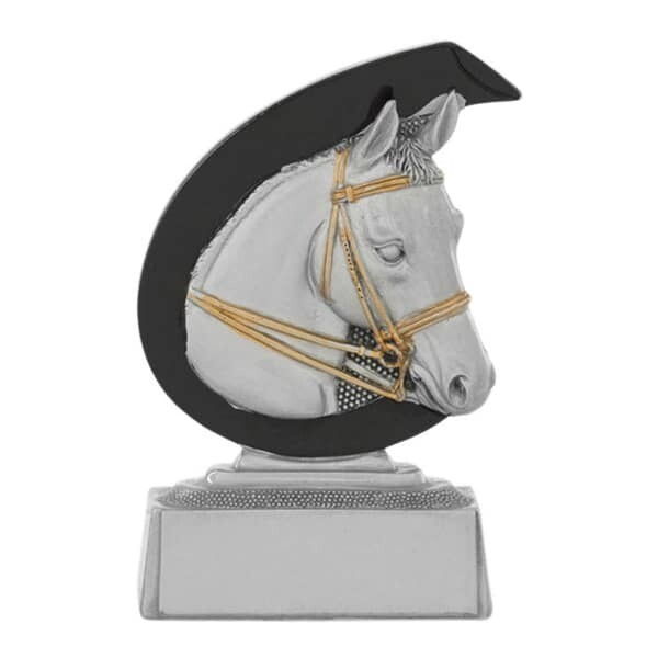 Paarden C650.6