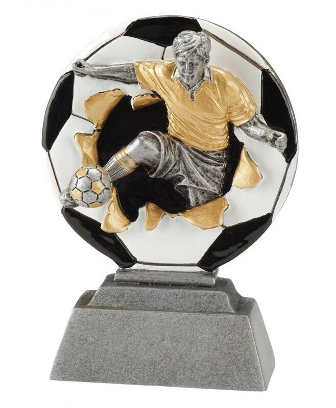 Beeld Voetbal FG1304