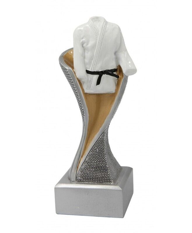 BEELD FG4050 JUDO