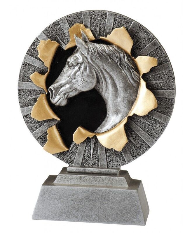 BEELD FG1307 PAARD