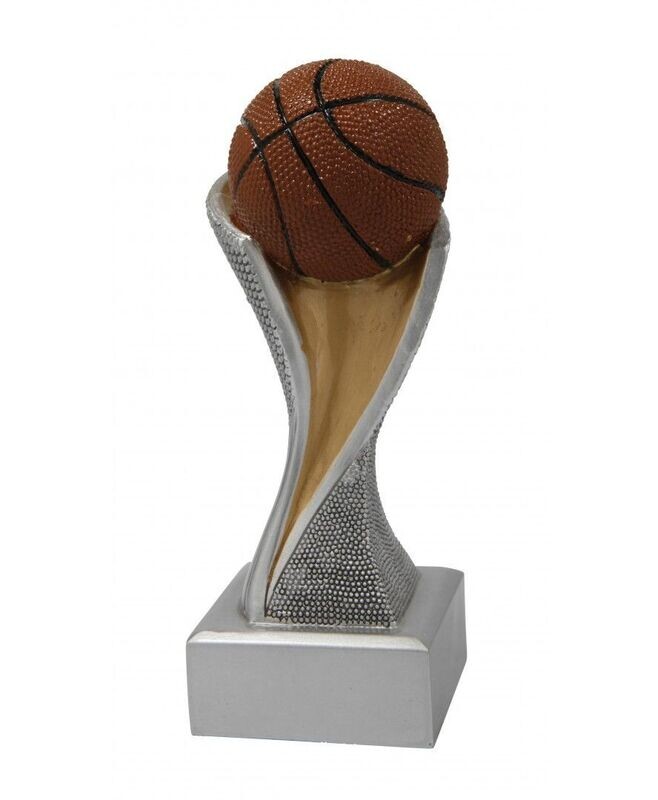 BEELD BASKETBAL
