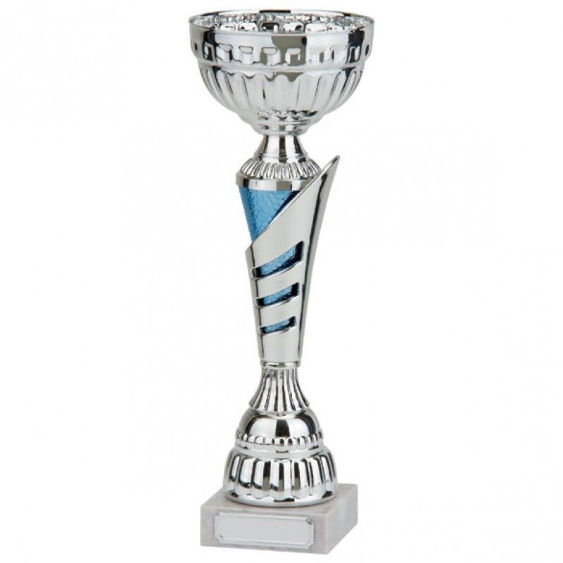 Vanquish Silver & Blue Cup
