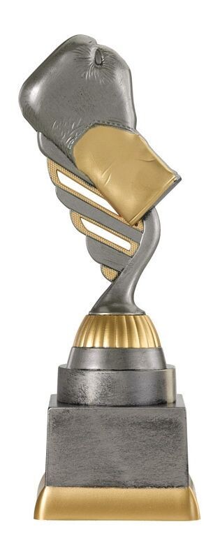 sport trophy boksen