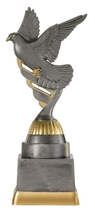 sport trophy duif