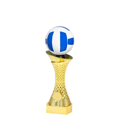 sport trophy volleybal
