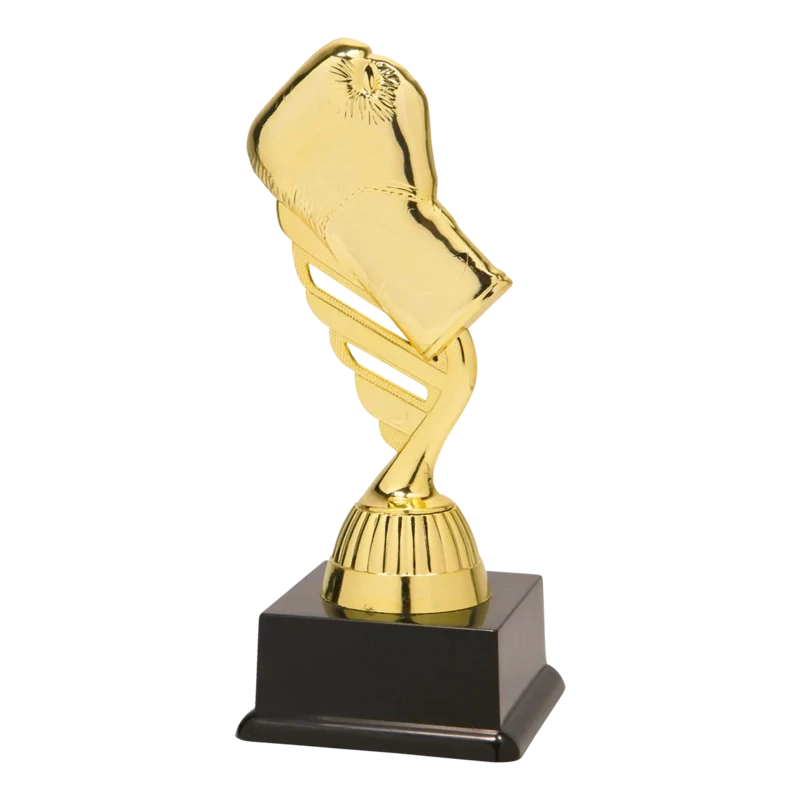 sport trophy boxing