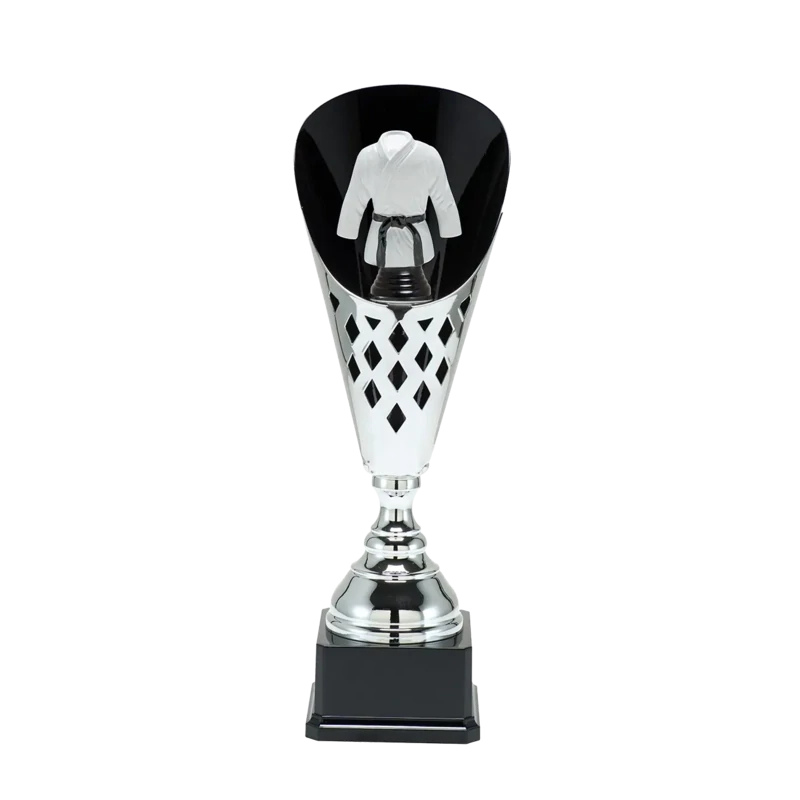 sport trophy judo