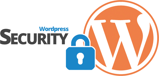 Secure Wordpress Websites